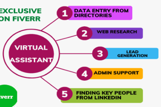 be your professional virtual assistant for website and linkedin  info collection
