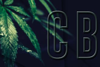 write blog posts and articles on cannabis, cbd and hemp