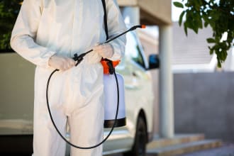 write killer  blogs on pest control and cleaning in one day