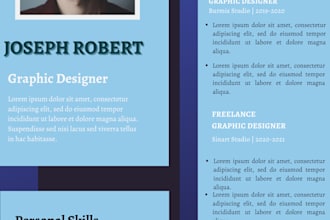 design a professional resume in infographic style in under 24hrs