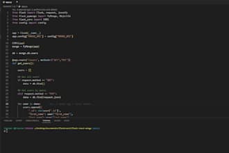 develop python and golang backend applications