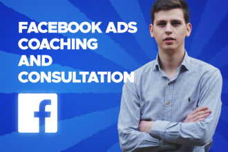 provide 1 on 1 facebook ads coaching and consulting