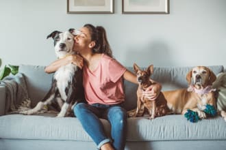 publish guest post on my high traffic pet and animal blog