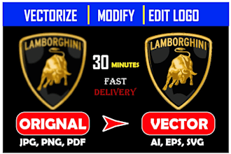 do vector tracing, redraw and edit any logo, image and sketch in only 3 hours