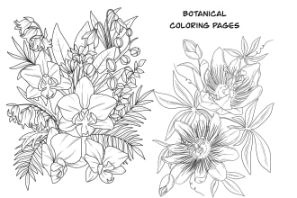 make a hand drawn digital coloring book page, botanical