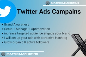 do organic twitter marketing and moderation for your project