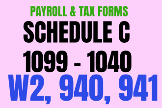 prepare schedule c, w2, 1099, 1040, payroll 941 tax form