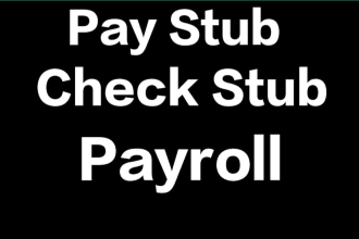 professional pay stubs, check stubs and pay slips