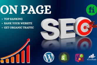 complete on page SEO optimization service with schema markup