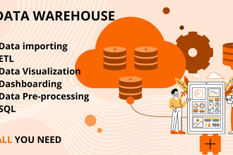 do data warehousing, data visualization, etl and dashboarding with ssis