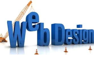 do professional and responsive website