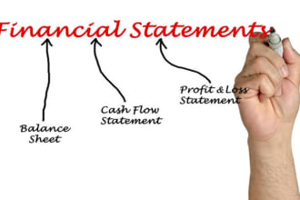 prepare profit and loss statements, balance sheets and income statements