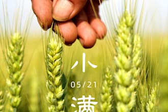 give you consultancy for chinese learning about chinese language culture