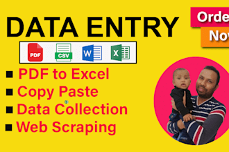 do data entry, PDF to excel, word, google sheet, CSV, excel data cleaning