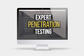 provide expert penetration testing services
