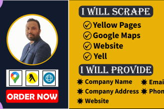 scrape business leads from yellow pages, google maps and website with email