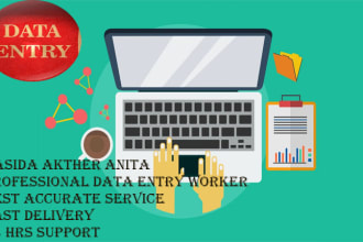 top tier excel data entry, website scraping in 1 day