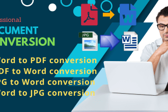 do professional document conversion like pdf to word etc