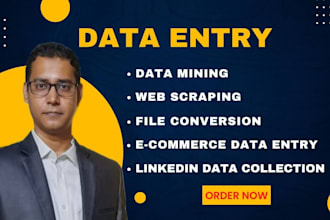 do perfect data scraping, web scraping, data entry