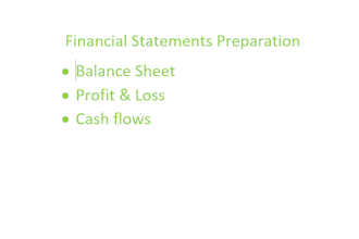 make financial statements, do bookkeeping and taxes for you