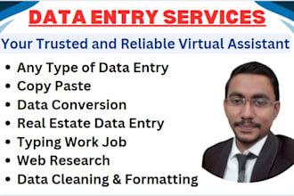 be your virtual assistant, data entry operator