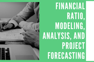 do financial analysis, ratio, modelling and project report