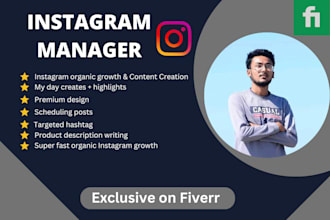 be instagram manager and content creator