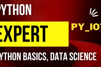 tutor python coding lessons with 3000 plus hours experience