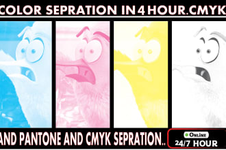 do colors separation for screen printing cmyk, spot colors