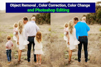 do object removal, color correction, change color of picture