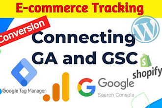set up your website google analytics, search console, and ecommerce tracking