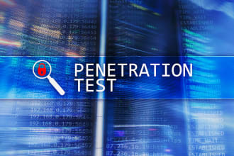 provide vulnerability assessment and penetration testing services