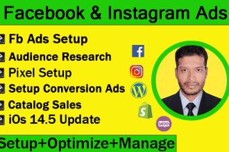 setup and manage effective facebook advertising, fb ad campaign, instagram ads