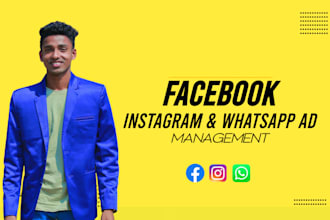 set up facebook, instagram and whatsapp ads for leads and sale