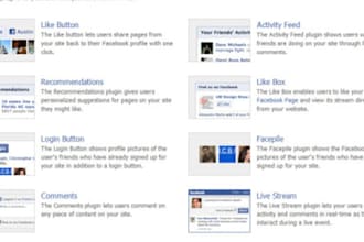install a facebook or twitter, widget or plugin, on your website