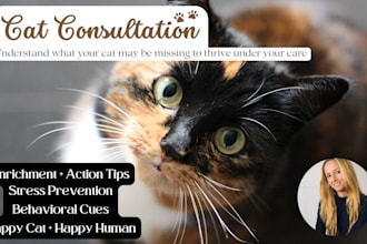 provide cat behavioral support for cat parents