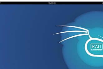 do kali linux, cyber security tasks and penetration testing