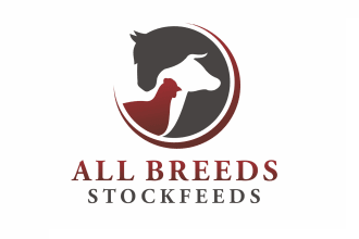 do make awesome pet care logo within 14 hours