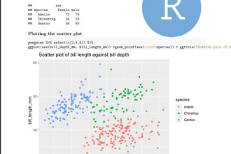 do data analysis and projects in r programming and python language