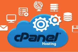 provide dns setup, hosting support, website optimization, and email setup