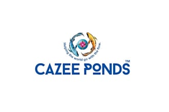 create a tranquil waterscape attractive logo