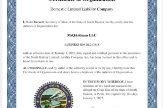 create a business in the US and pay lesser taxes for your business