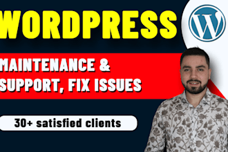 provide maintenance and support for your wordpress website
