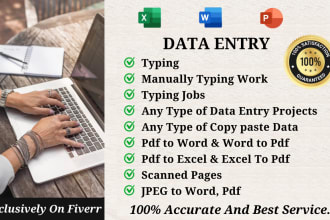 do data entry, excel, typing, copy paste and convert work