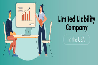 do US llc  company registration