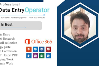do data entry, web research, copy paste, excel work, typing and email collection