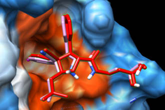 do your docking for your small molecules