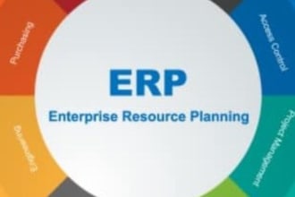 be an oracle ebs or fusion cloud erp consultant and advisor