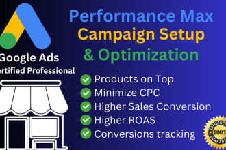 setup high converting performance max campaign for all ecommerce store