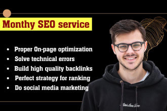 provide monthly SEO service and link building package